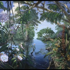 Rio Negro