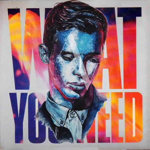 Stream Flume - What You Need (ANDRAViDA Remix) by ANDRAViDA | Listen ...