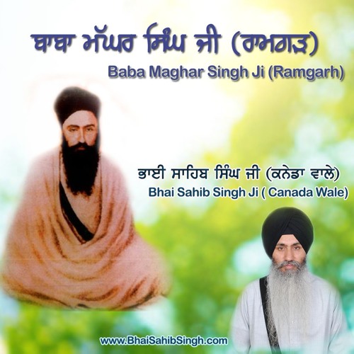 Amazing Gursikhs