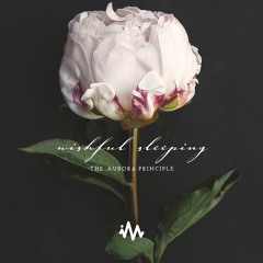 The Aurora Principle - Wishful Sleeping
