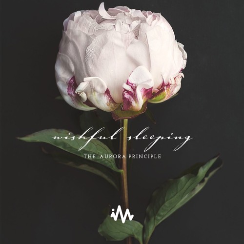 The Aurora Principle - Wishful Sleeping