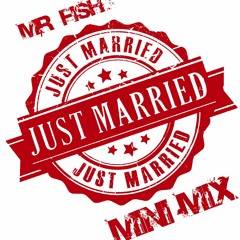 Mr Fish Just Married MINI MIX
