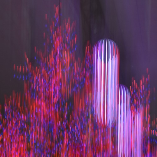 P è n i n ș o l a r & Taisouegao w'(Junyalion Didgeridoo)
