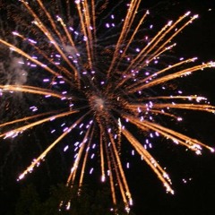 Fireworks (x)