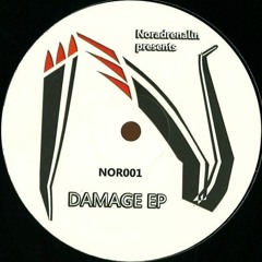 Noradrenalin- Bipolar Disorder -DAMAGE EP 12" VINYL AVAILABLE NOW!