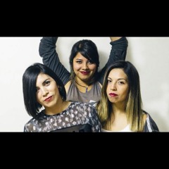 Siempre nos Levantamos - Desclandestas - SonSexuellement 2013