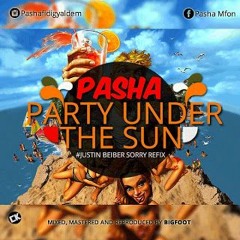 Party Under The Sun (Justin Bieber Sorry Refix)