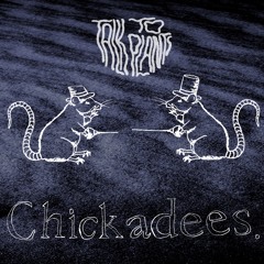 Chickadees