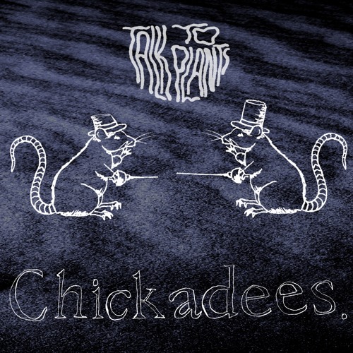Chickadees