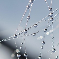 Ian Cognito - Dew Drops