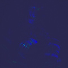 They Don't Understand