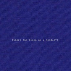 where the bleep am i headed?