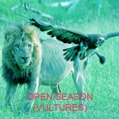 VULTURES FT. DRO