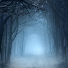 Witch Of The Craggledwood Road