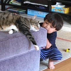 In Lieu Of My Dreams - Soulwriters 2016 Week 13 - 5:1:16, 9.06 PM