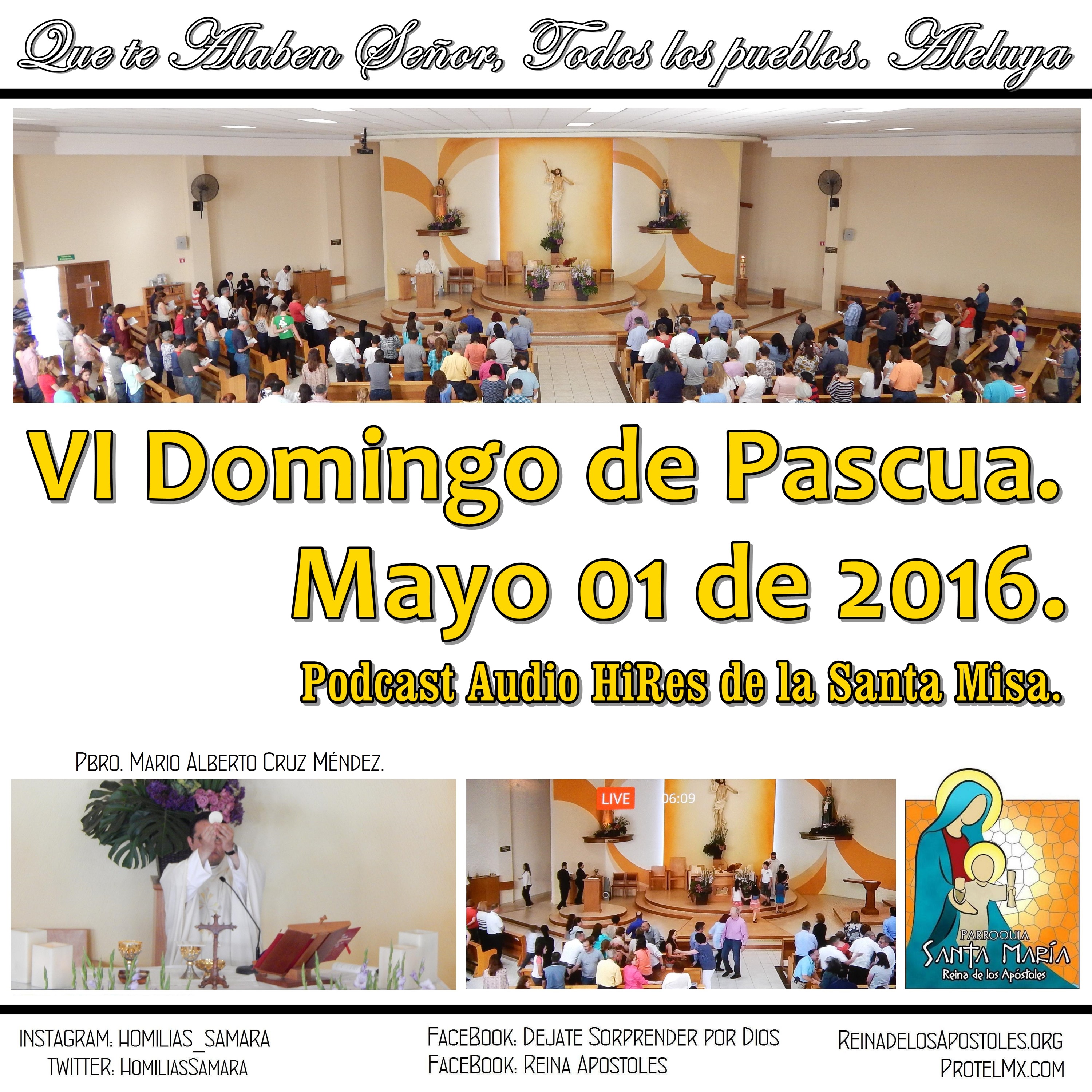 SAMARA_Saltillo #2019