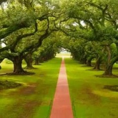 وصف نعيم الجنة