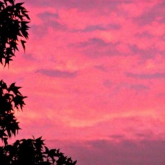 The Sky Was Pink
