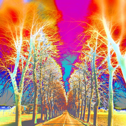 . Inner Symphony .  Electronic & Voice (on Unexplained Sounds Group)