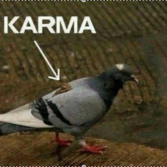 Young F.L  - Karma