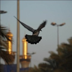 فاطمة شمعة وانطفت - كوثر حرب