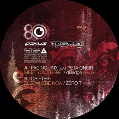 FOKUZ080.3 / Meet You There (dBridge Remix) / Elsewhere Now (Zero T Remix)