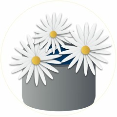 014. Zen Metaphor - Sécurité par obscurité