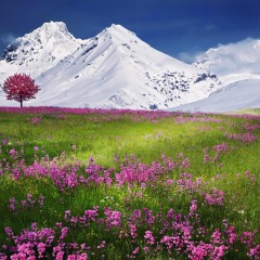 |سورة فاطر |رب قد آتيتني من الملك وعلمتني من تأويل الأحاديث }