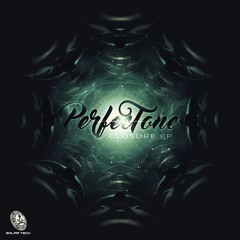 PerfecTone Vs Yahel - Closure