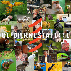 #5: De mens en andere dieren