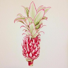 Popcaan & Dosa Medicine - Ky Ky Kwenko [Raw]