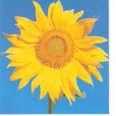 Lovin' You Breaks My Heart In Two