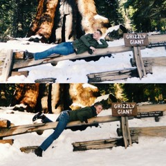 Don't Carry It All (Decemberists Cover)