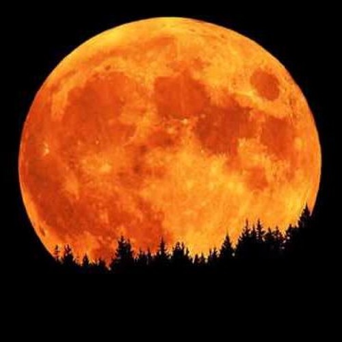 Yellow Moon