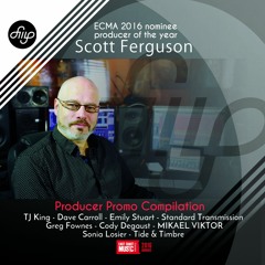 The Fallen And The Brave - Dave Carroll