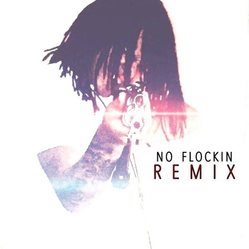 No Flockin (G-Mix)