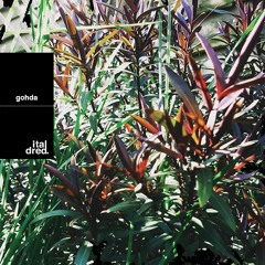Italdred Mix 18: Gohda
