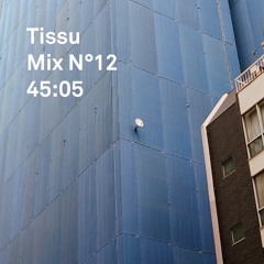 Tissu Mix N°12