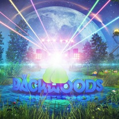 Black Frames - Backwoods Music Festival – B4B Competition Entry