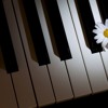 Música de Fondo Conmovedora Para Videos | Triste | Tristeza | Piano | Drama