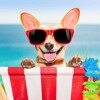 musica-de-fondo-alegre-para-videos-ukulele-positiva-feliz-youtube-gatos-perros-musica-para-videos