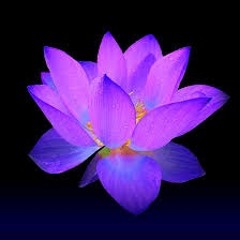 [GENETIX] - The Lotus