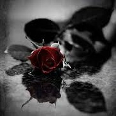 SayWeCanFly - Scars