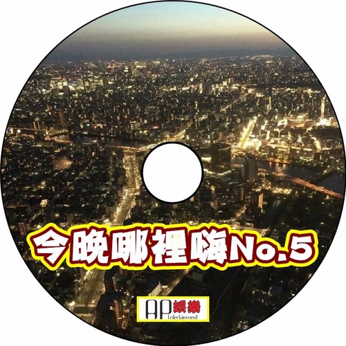 Ap娛樂 - 今晚哪裡嗨No.5