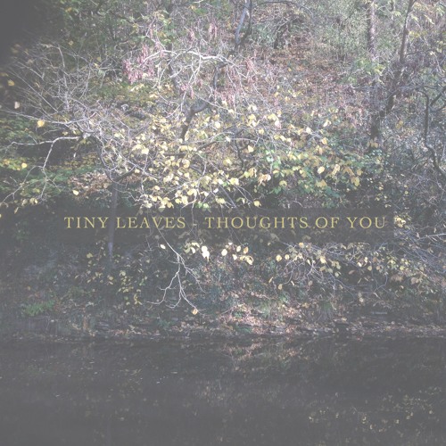 Thoughts Of You