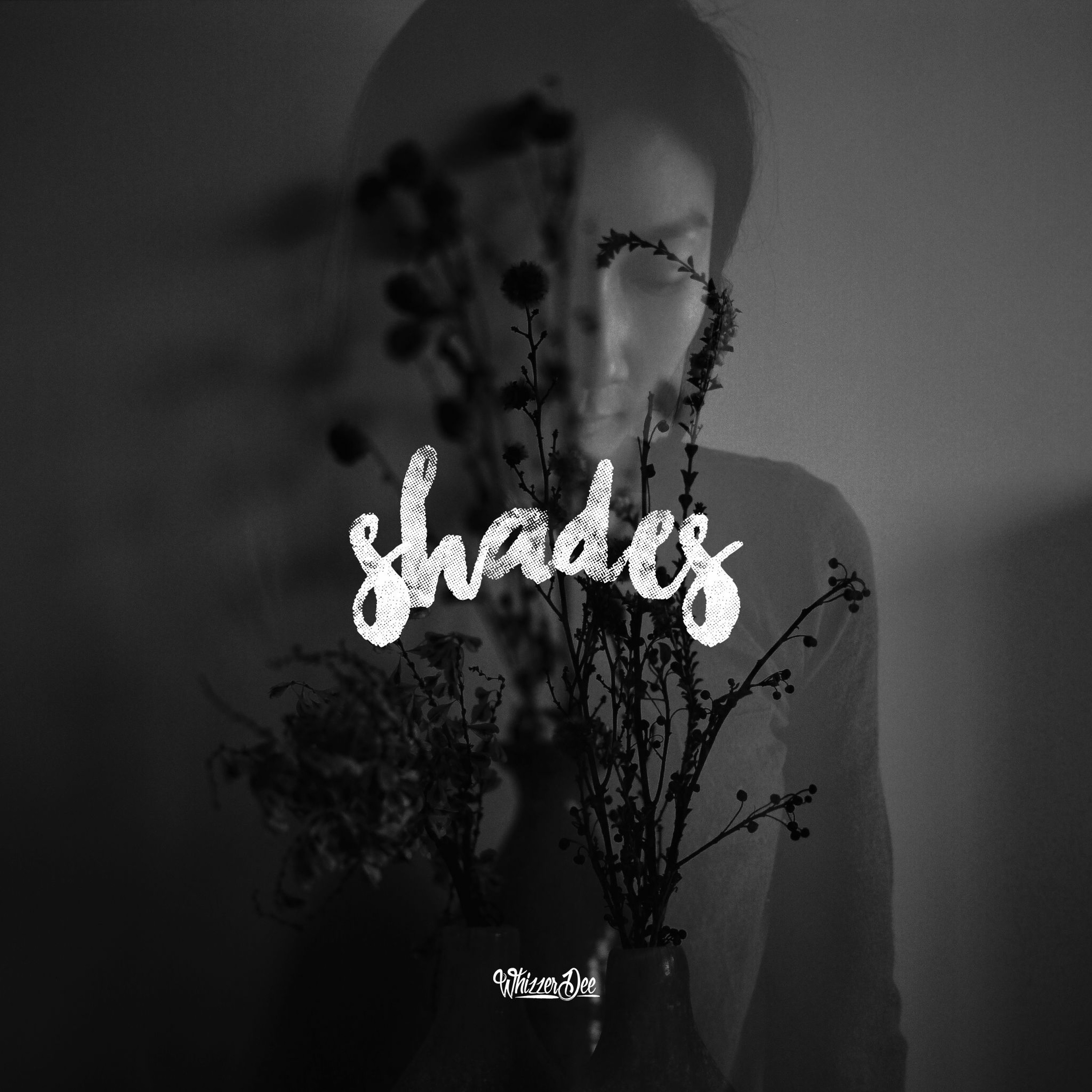 Shades