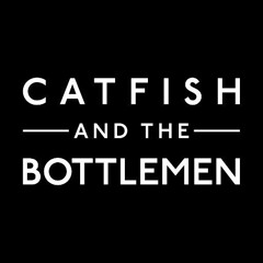 Catfish and the Bottlemen - Collide(Acoustic)