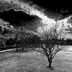 Storm Warning
