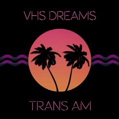 VHS Dreams - Vice Point