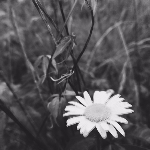 LIL PEEP/COLDHART TYPE BEAT - "OKAY, I PROMISE" (PROD. SAVIOR)